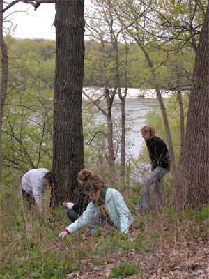 [Photo: Photo: Vounteers removing invasive species in Desnoyer Park Neighborhood, Saint Paul]