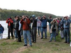 [Photo: Birders on the Mississippi riverbank]