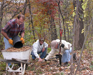 [Photo: Volunteers add mulch around new plantings.]