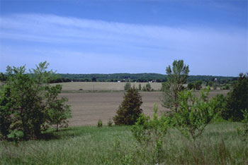 [Photo: View of area inland from proposed development.]