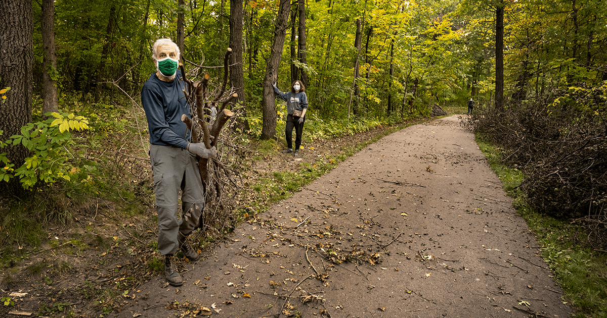 Volunteers remove buckthorn along a forested trail