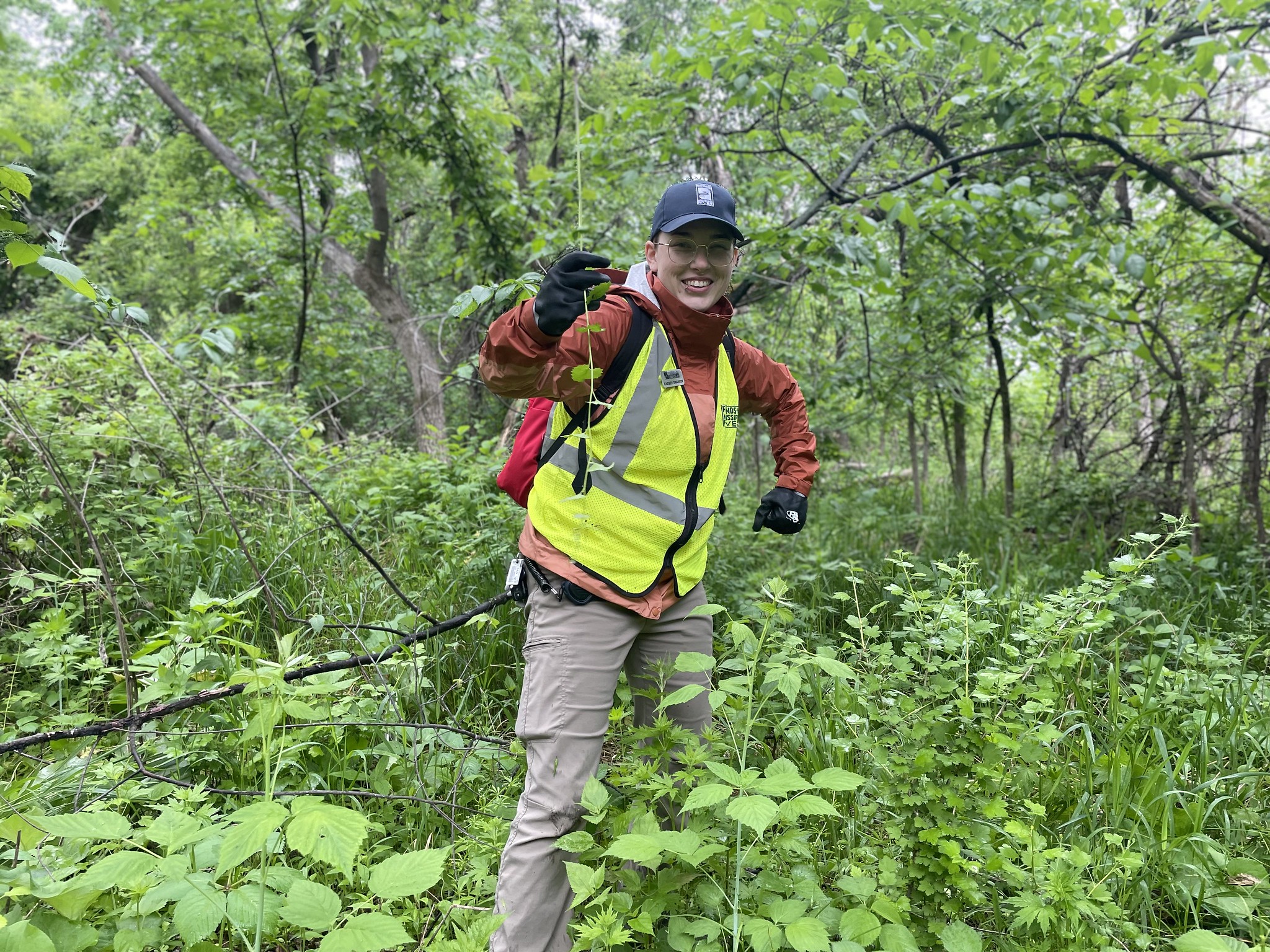 Kass at volunteer event Kass holds up garlic mustard