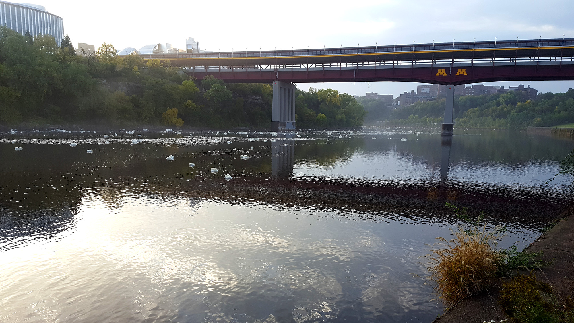 River foam at U of M bridge Foam puffs on the river