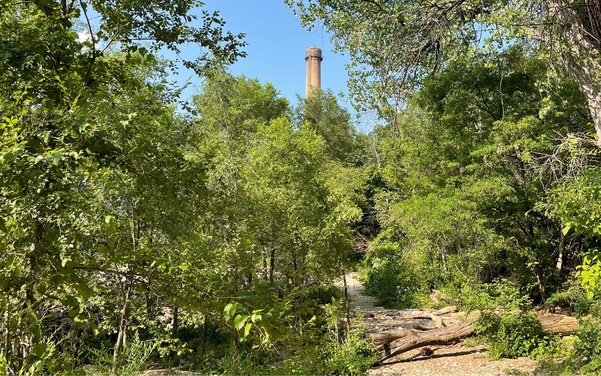 Shrubs and trees, green with summer growth, cover a small walking area that is the Ford Area C dumpsite. High above, the smokestack from the old Ford plant peeks through a break in the canopy.