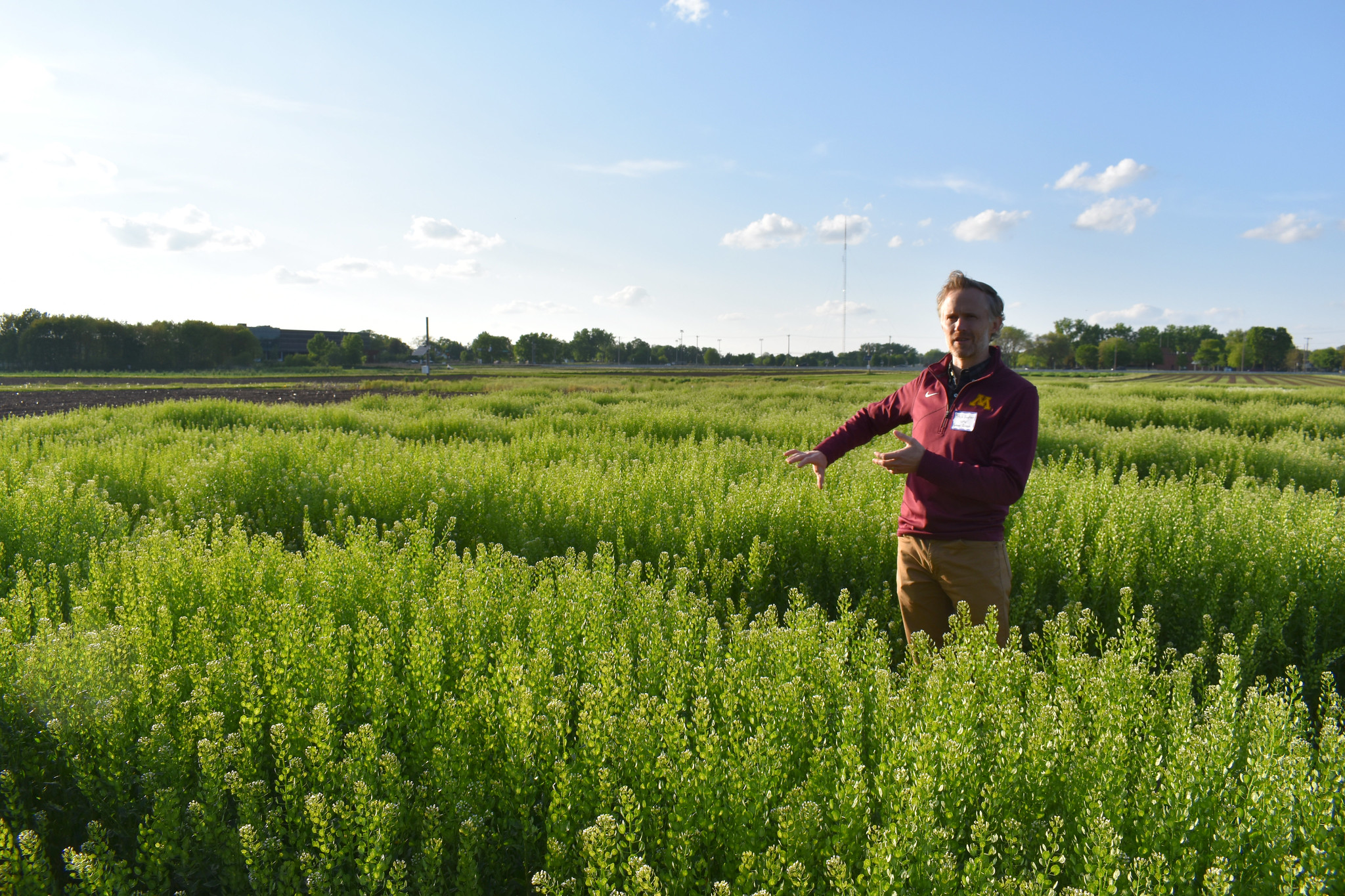 Forever Green's Mitch Hunter gestures in a pennycress field