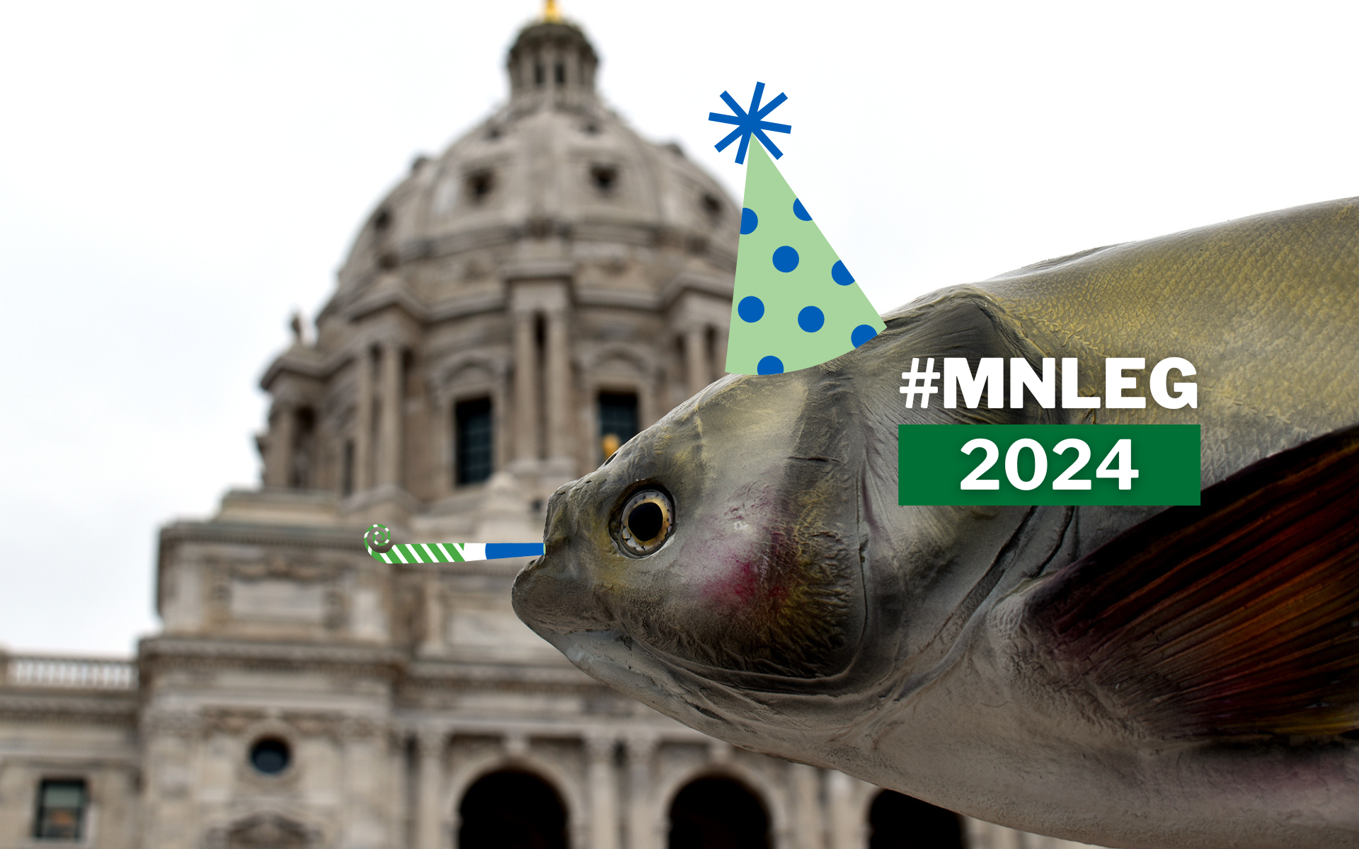 Big win: MN Legislature funds invasive carp deterrent | Friends of the  Mississippi River, image size:1920x1200