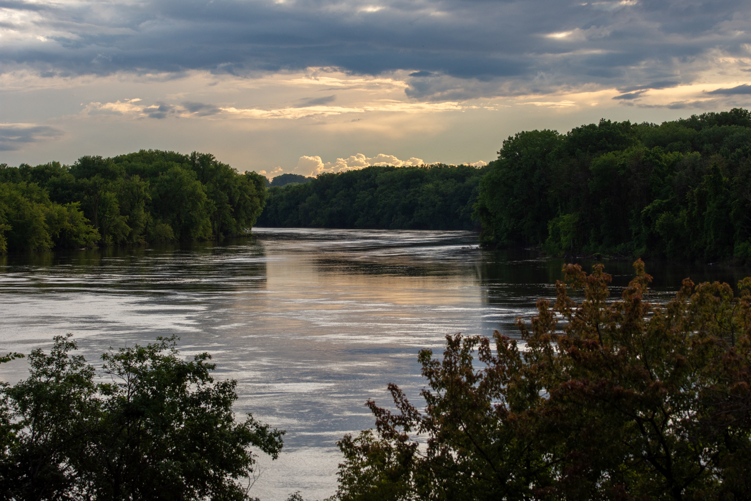 High waters along the tree-lined banks of the Mississippi River in St. Paul