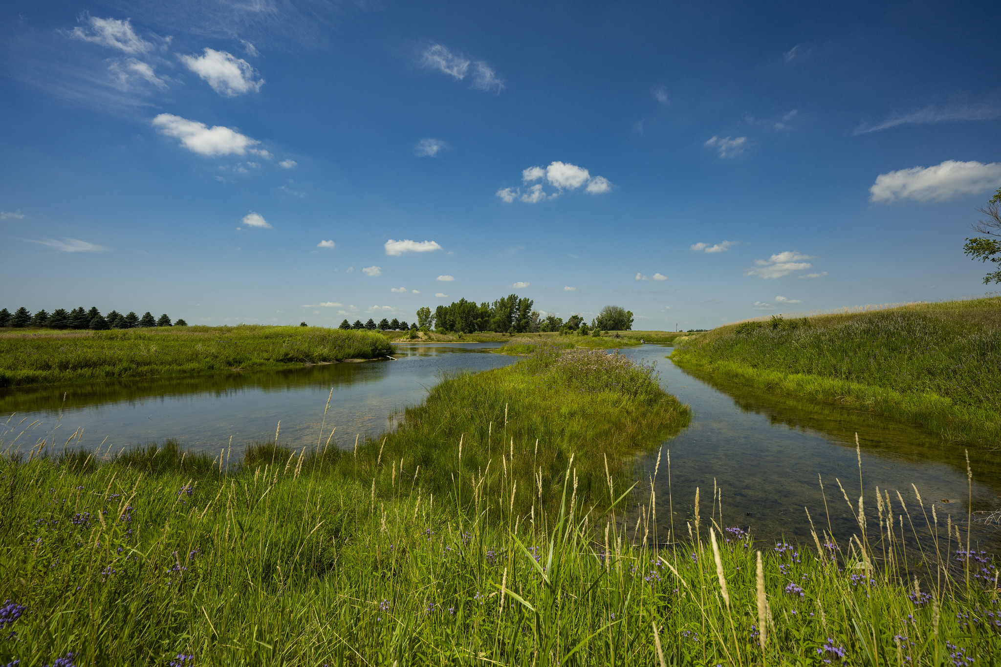 A shallow pond surrounded by agricultural land.