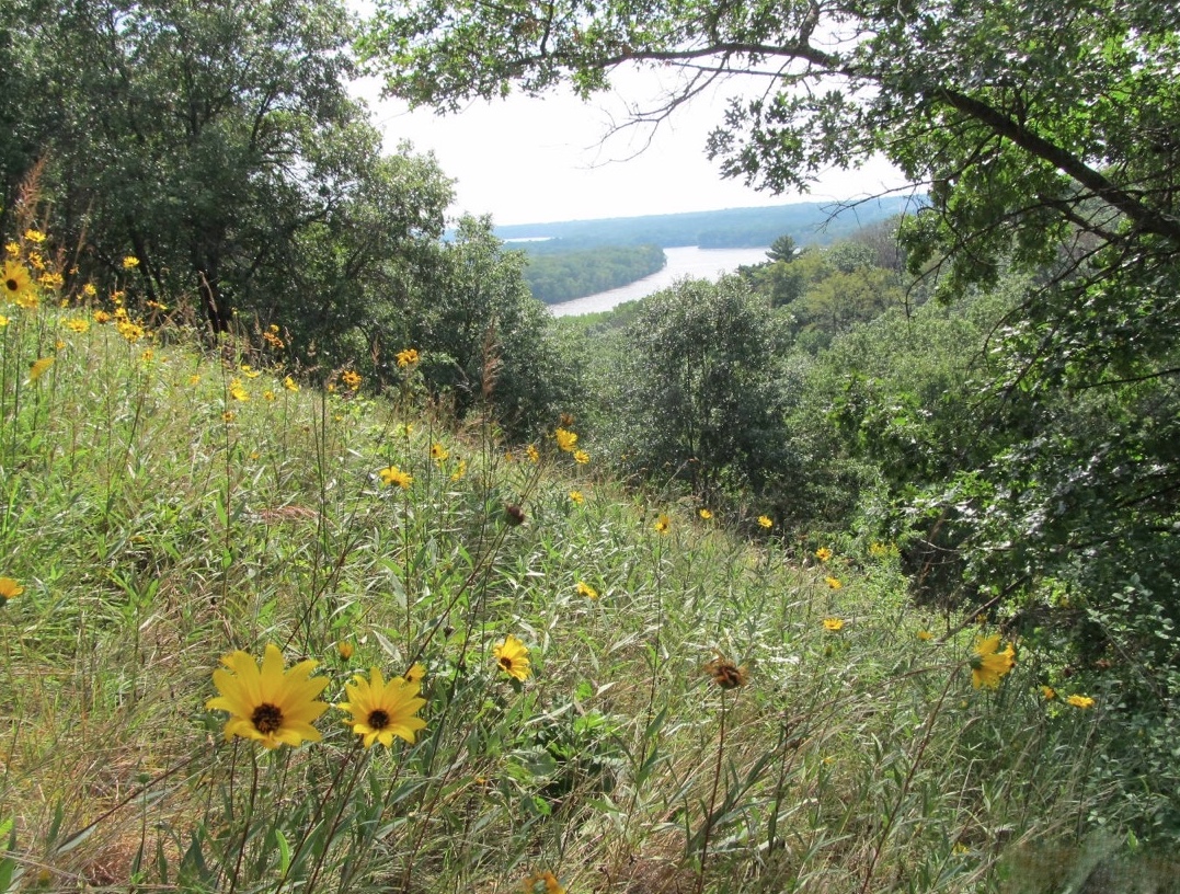 Pine Bend Natural Area — a window over the Mississippi River