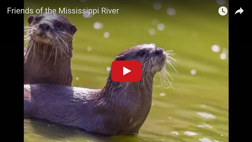 Hear the Kool 108 Friends of the Mississippi River broadcast!