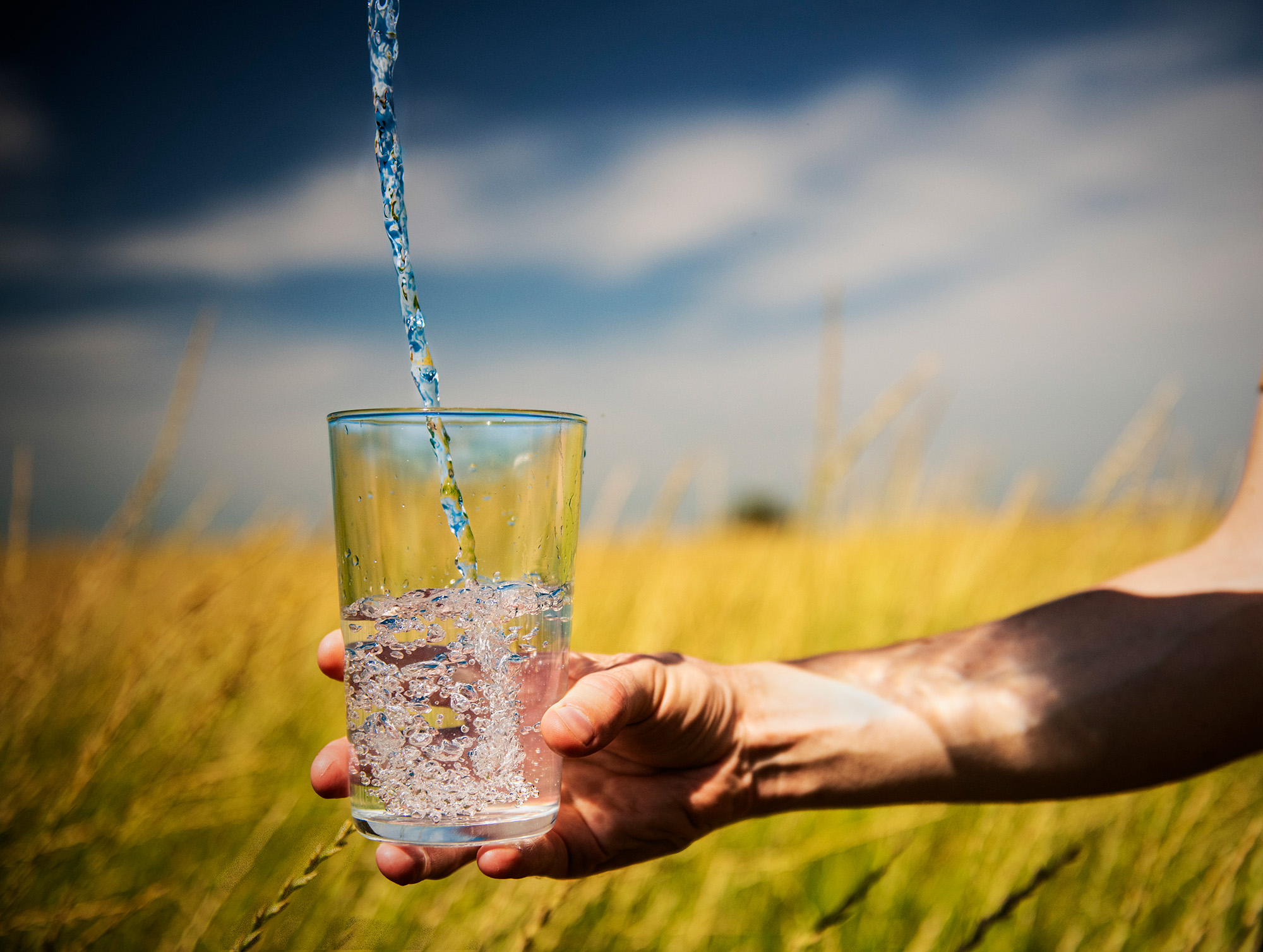 Hand holds glass of water near farm field