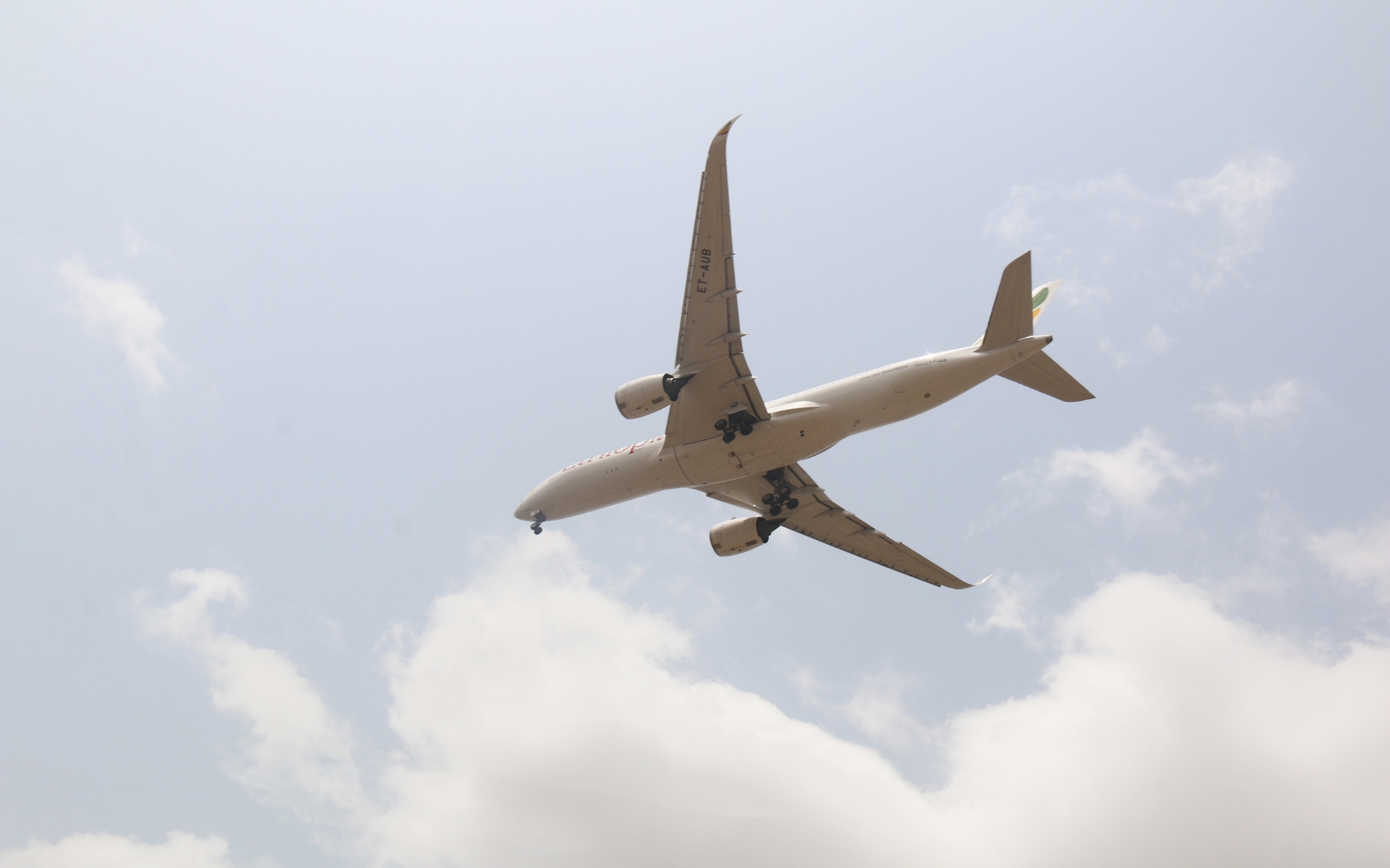 Airplane Airplane in sky