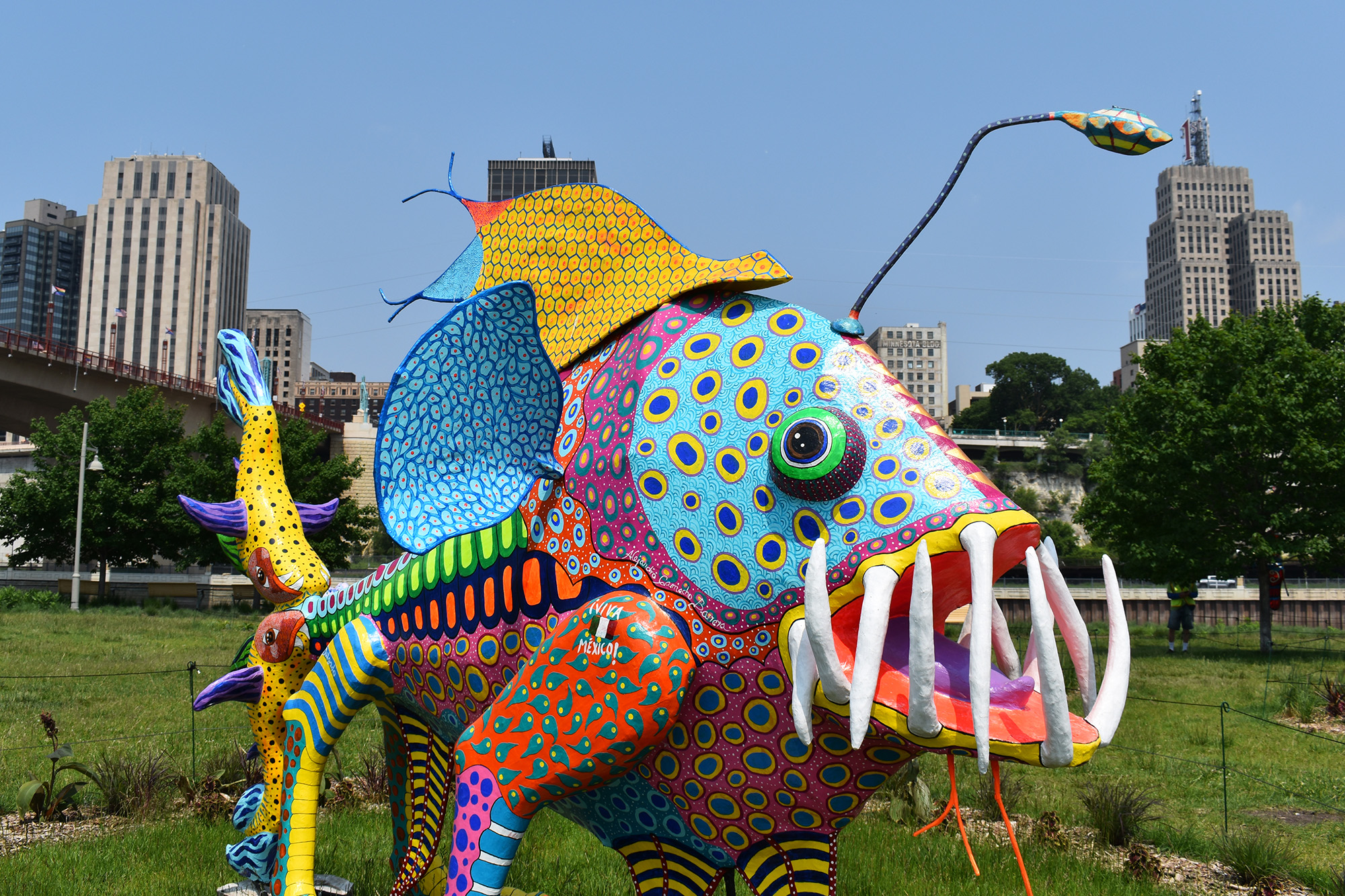 Alebrije on Raspberry Island Alebrije on Raspberry Island