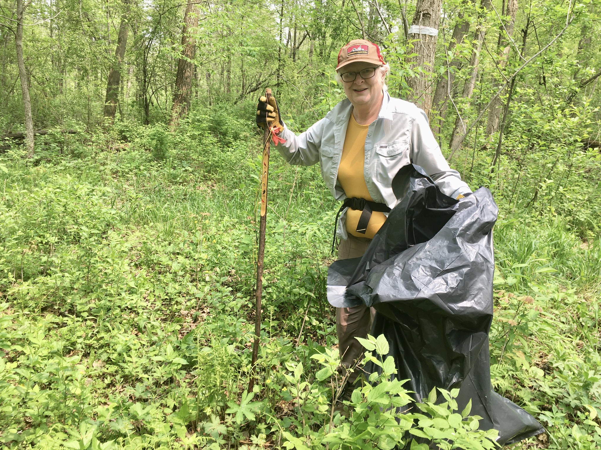 Volunteer pulls garlic mustard at Hampton Woods