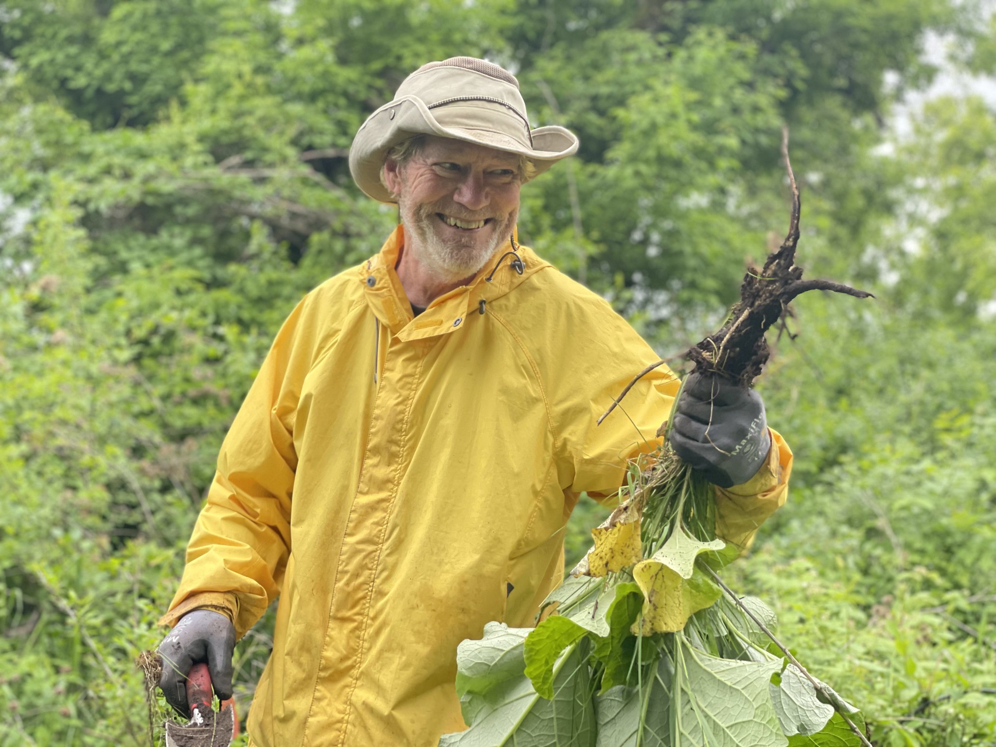 Volunteer removing burdock at Vermillion River Linear Park 