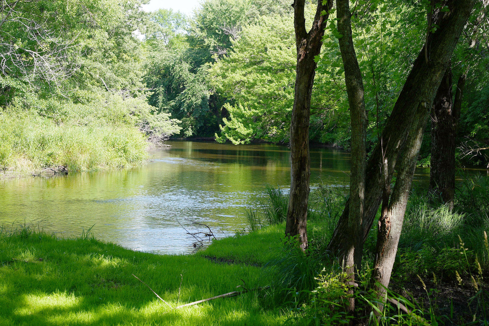 Elk River at Camp Cozy Elk River