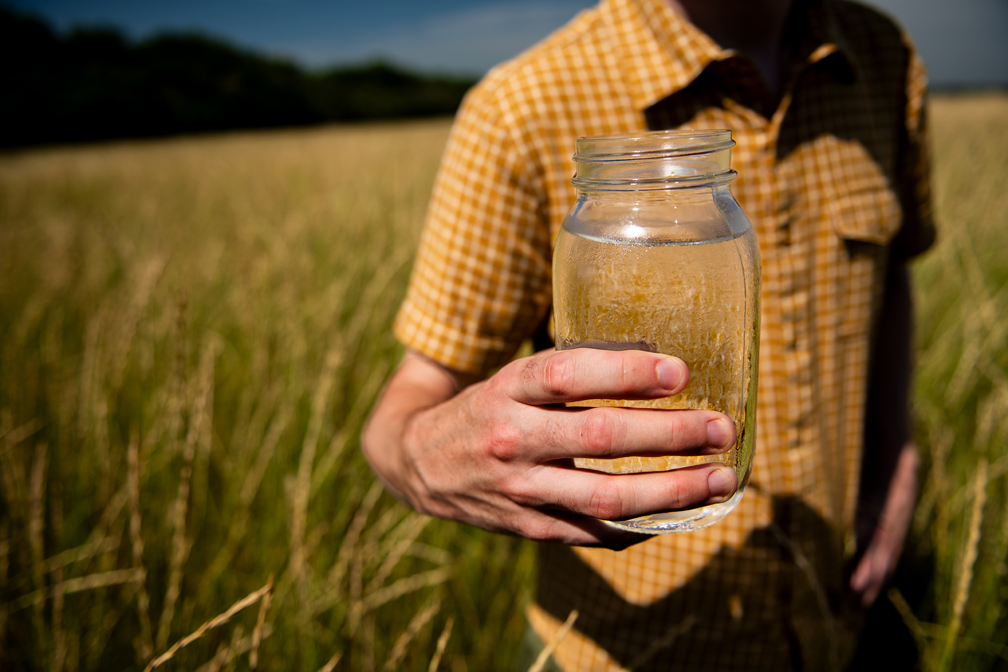 Person holds a mason jar of clear water in a field of Kernza