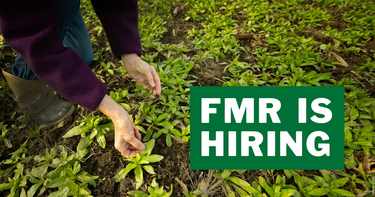 Person holds oilseed crop, text: "FMR is hiring"