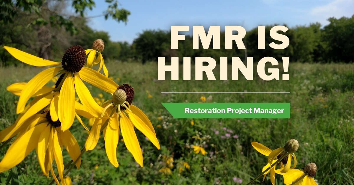 Coneflower and text: "FMR is hiring! Restoration Project Manager"