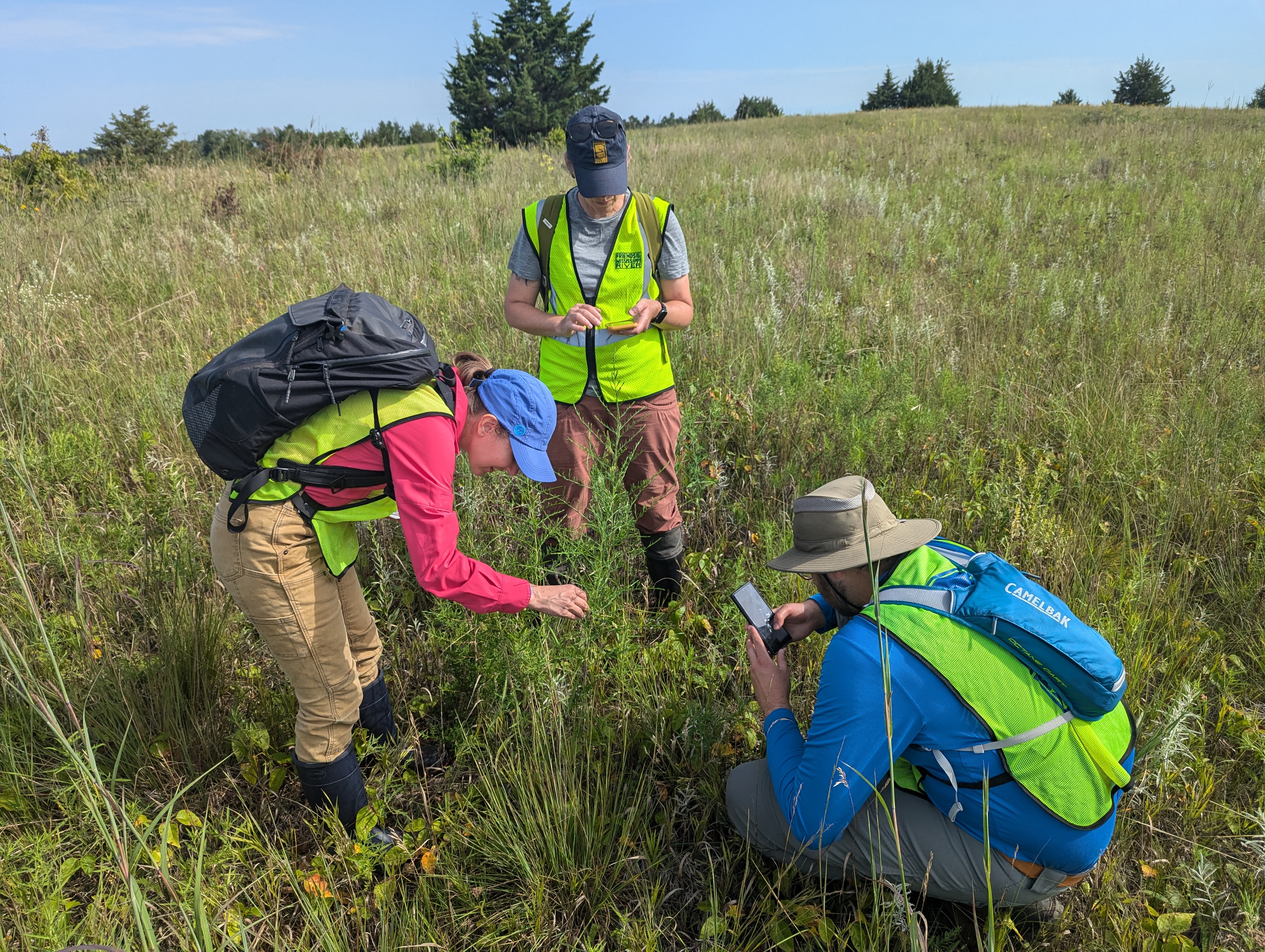 Intern surveys with ecologists