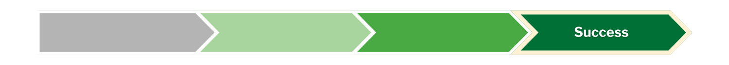 Illustrated progress meter showing "Success."