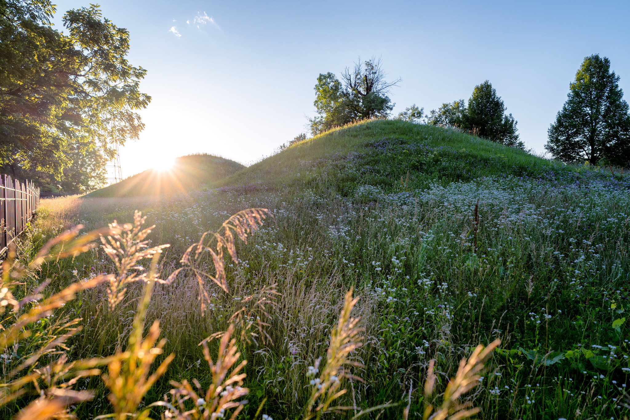 Burial mounds with grasses