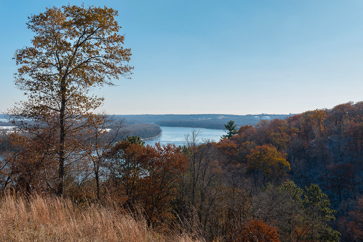 Pine Bend Bluffs SNA in the fall with a view of the river from bluffs