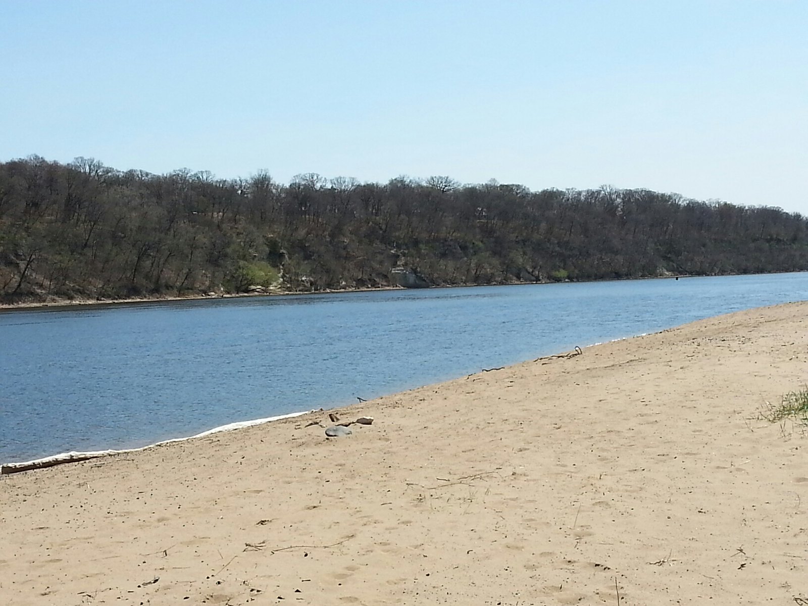 The Mississippi River seen during warm weather, with trees on the opposite bank and sandy beach in the foreground.