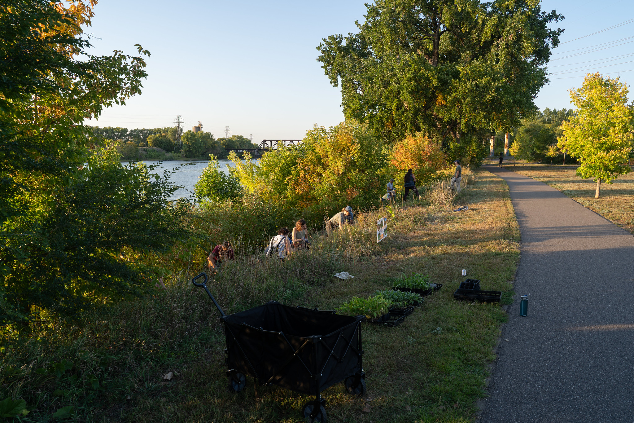 Volunteers work on the riverfront habitat