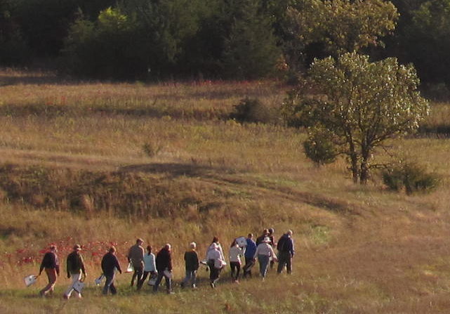 A line of volunteers snakes through a trail in open grassland. 