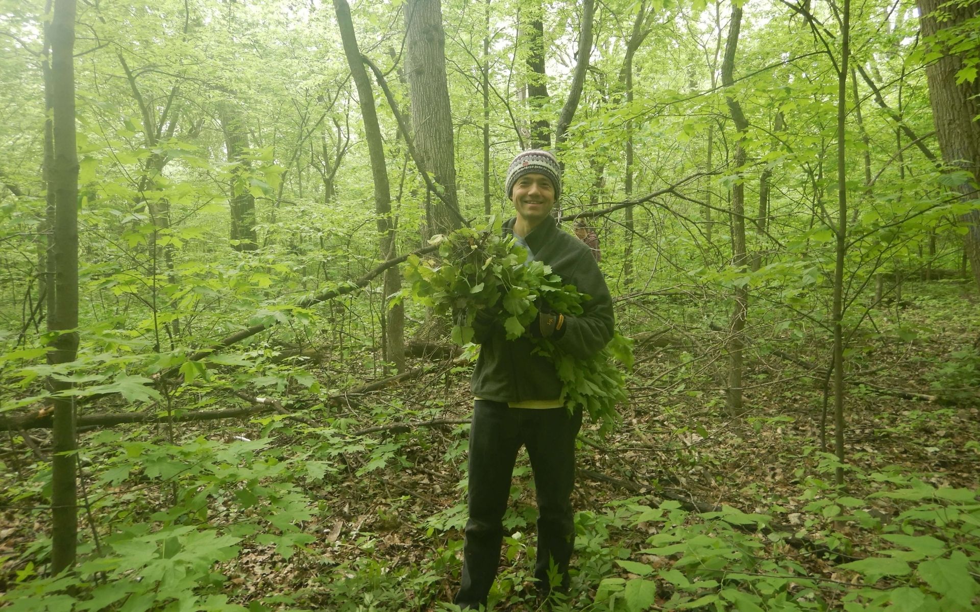 Volunteer Allan with an armful of garlic mustard at the sand flats