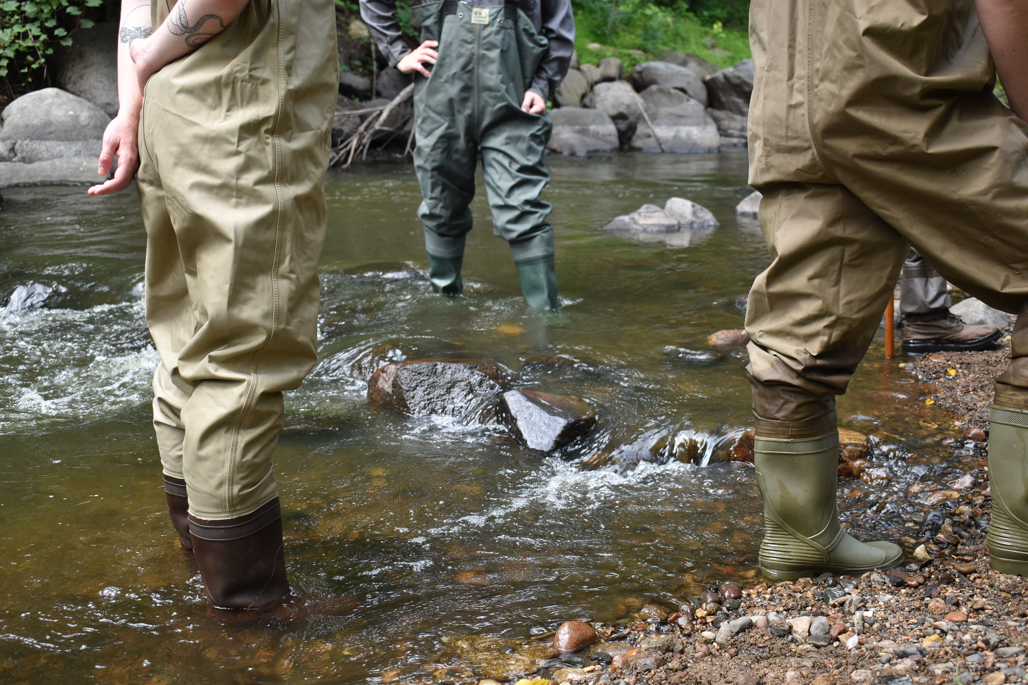 Three people wearing waders stand in ankle-deep water.