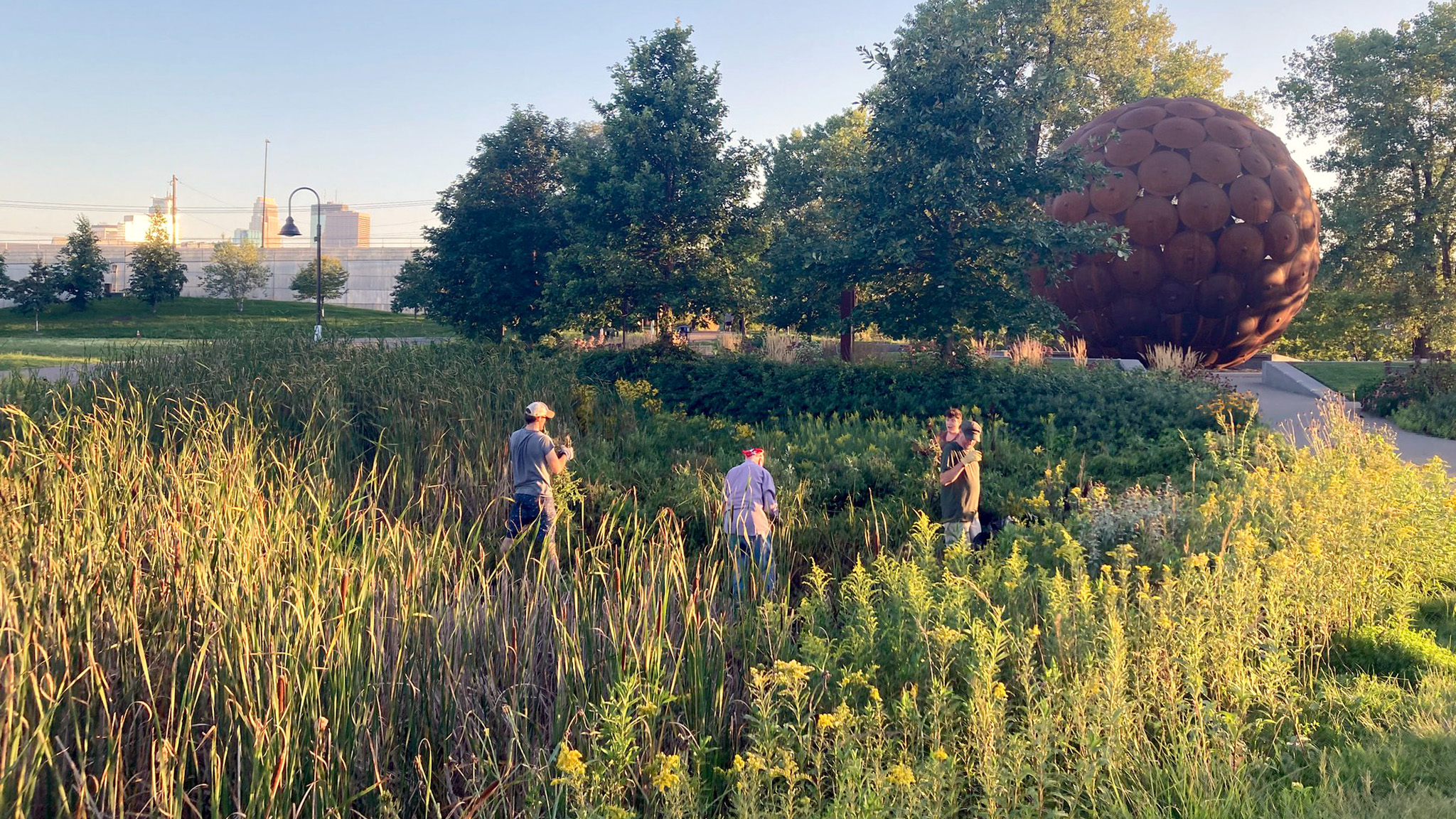 Volunteers work in rain garden near sculpture