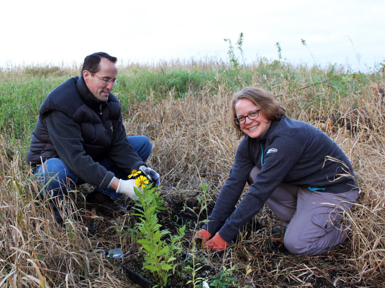 Volunteers planting