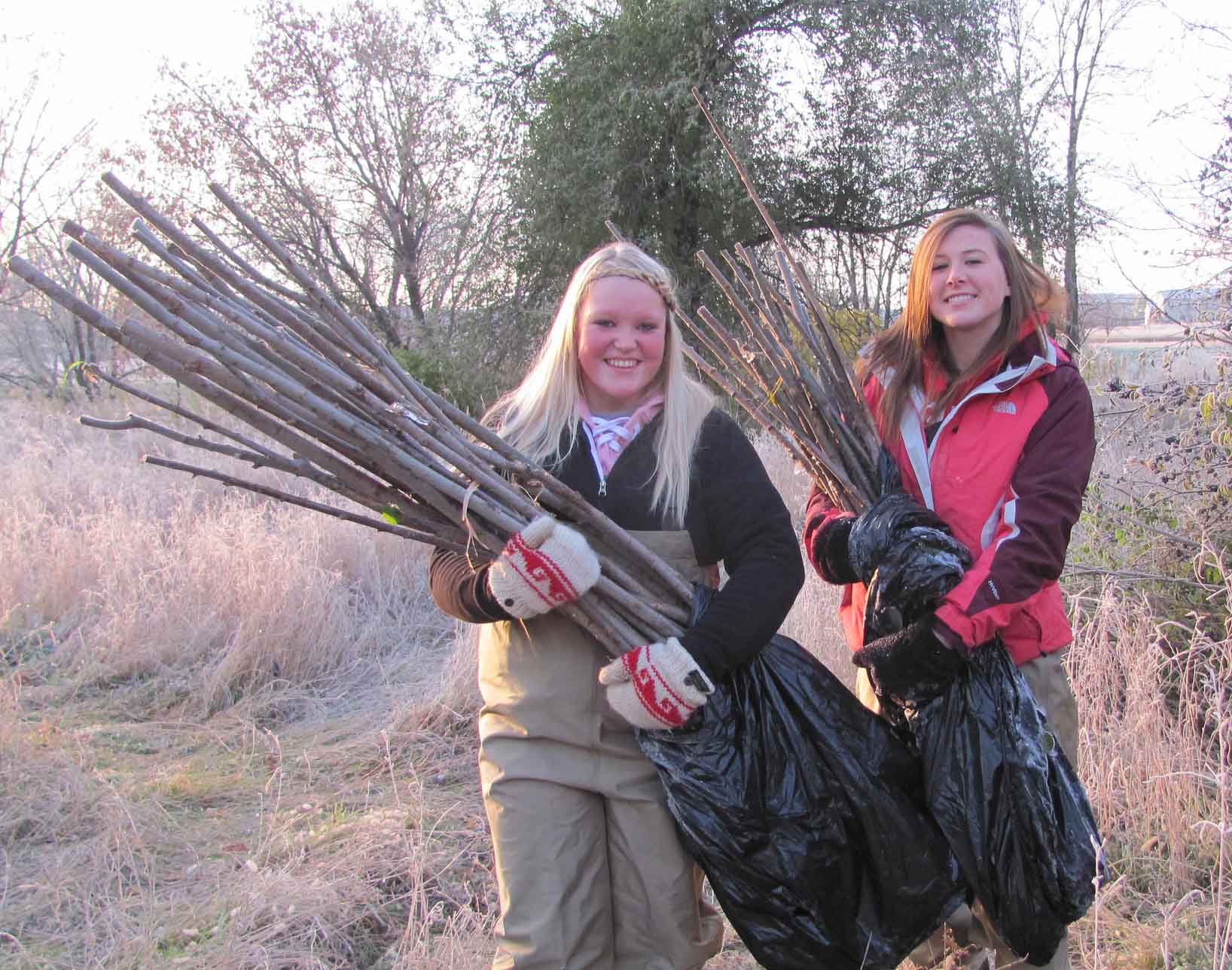 Volunteers will cut native bushes and trees and then plant the stakes