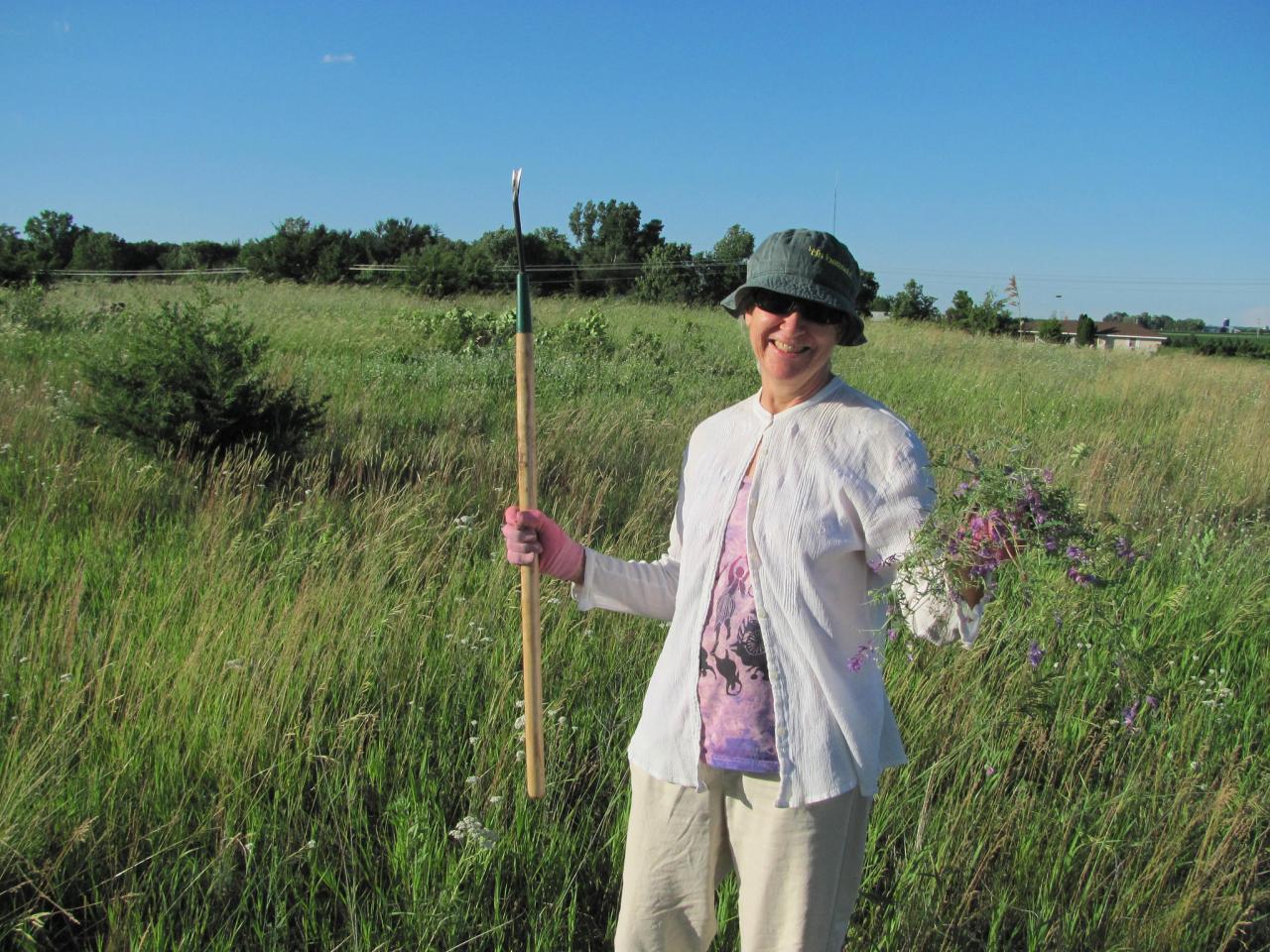 Volunteer tending the rare prairie at the Sand Coulee SNA