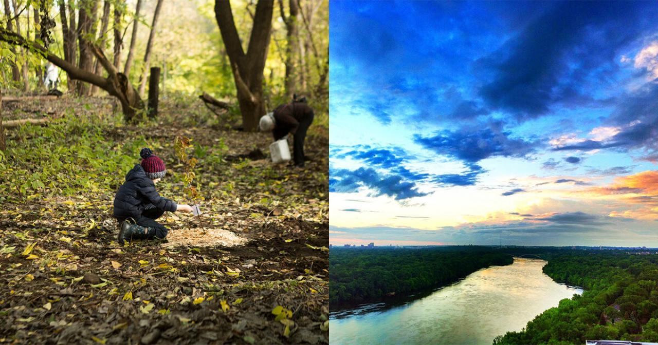 Child plants a tree; Mississippi River and bright sky