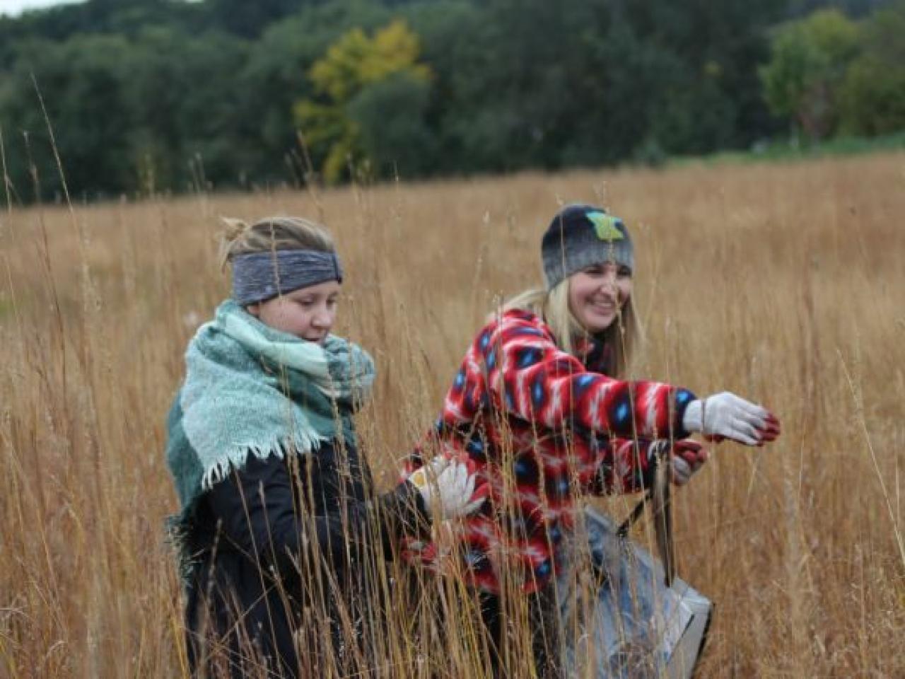 Habitat restoration volunteers collecting native seed in the prairie.