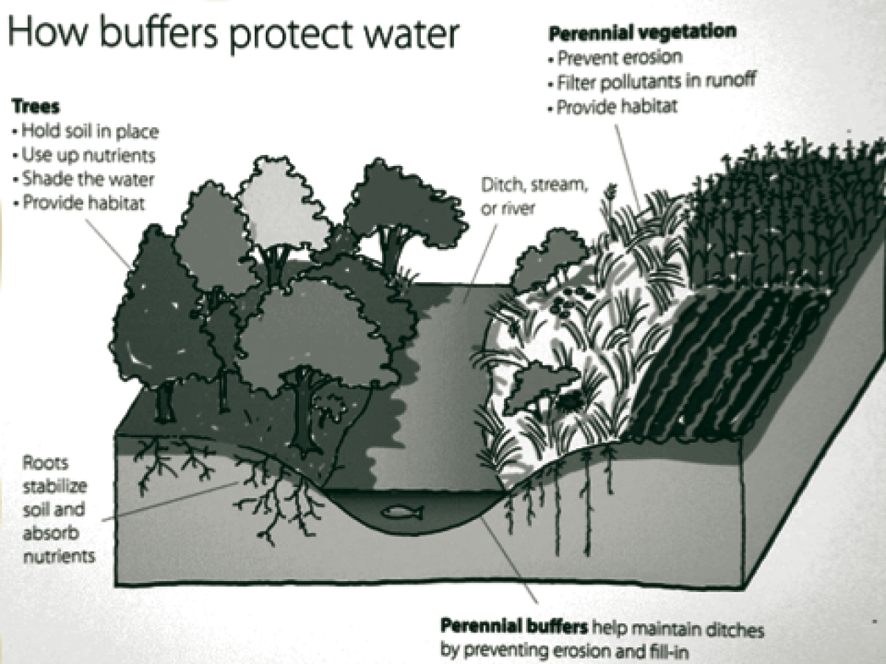 What is Water Quality ? - LDP Watersheds