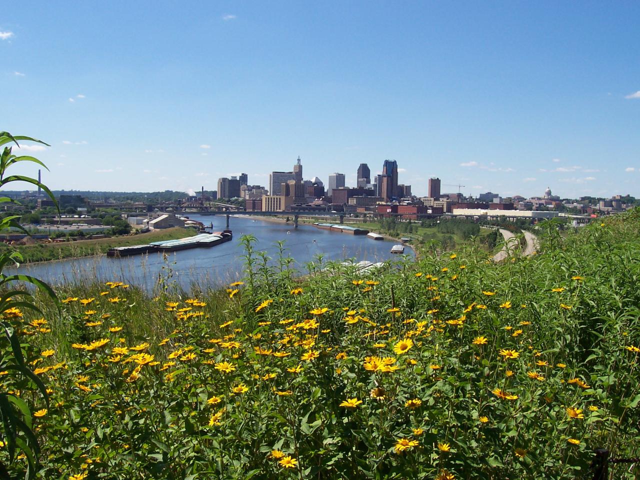 Native prairie installed by volunteers at Indian Mounds Park