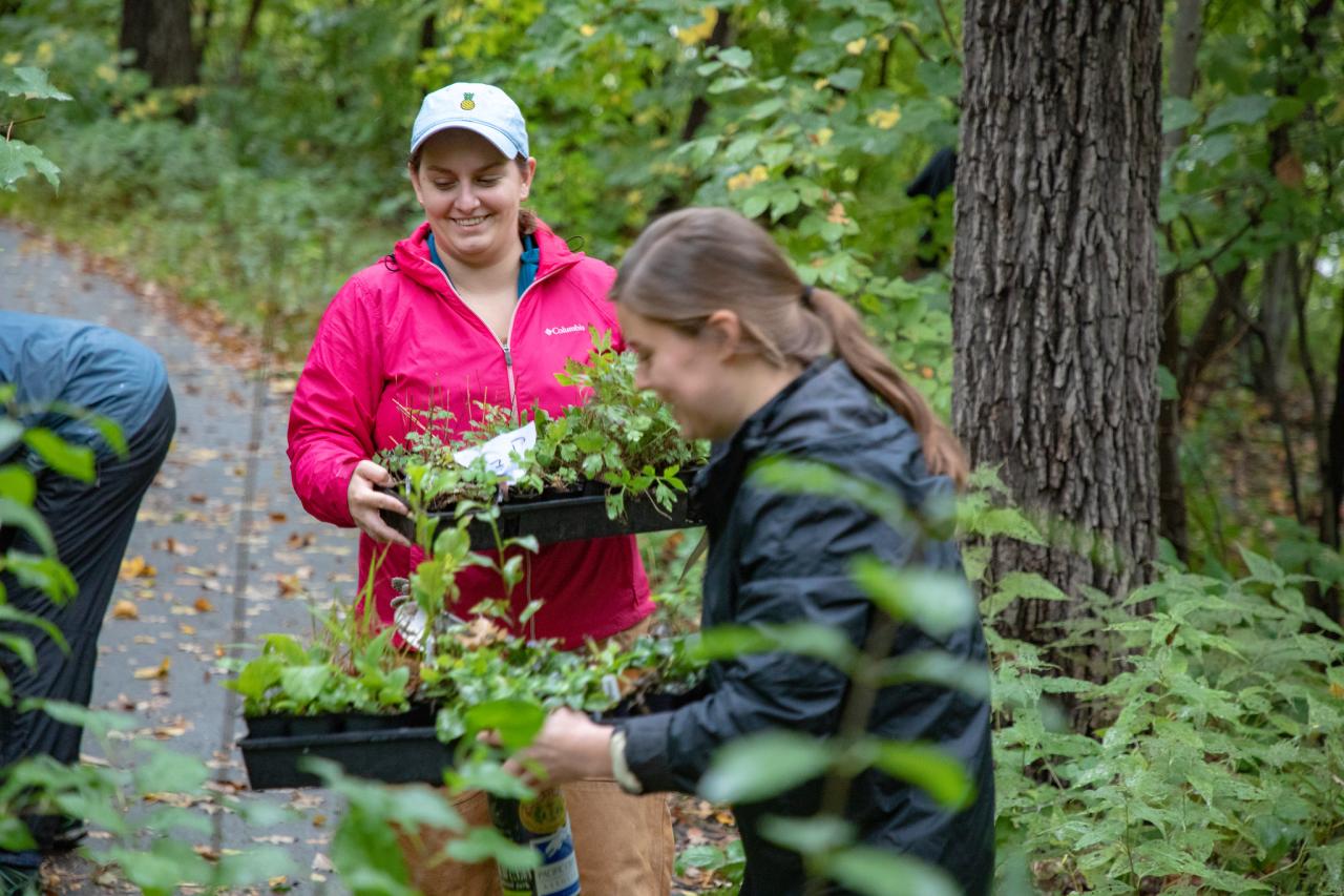 Volunteers at a previous gorge planting