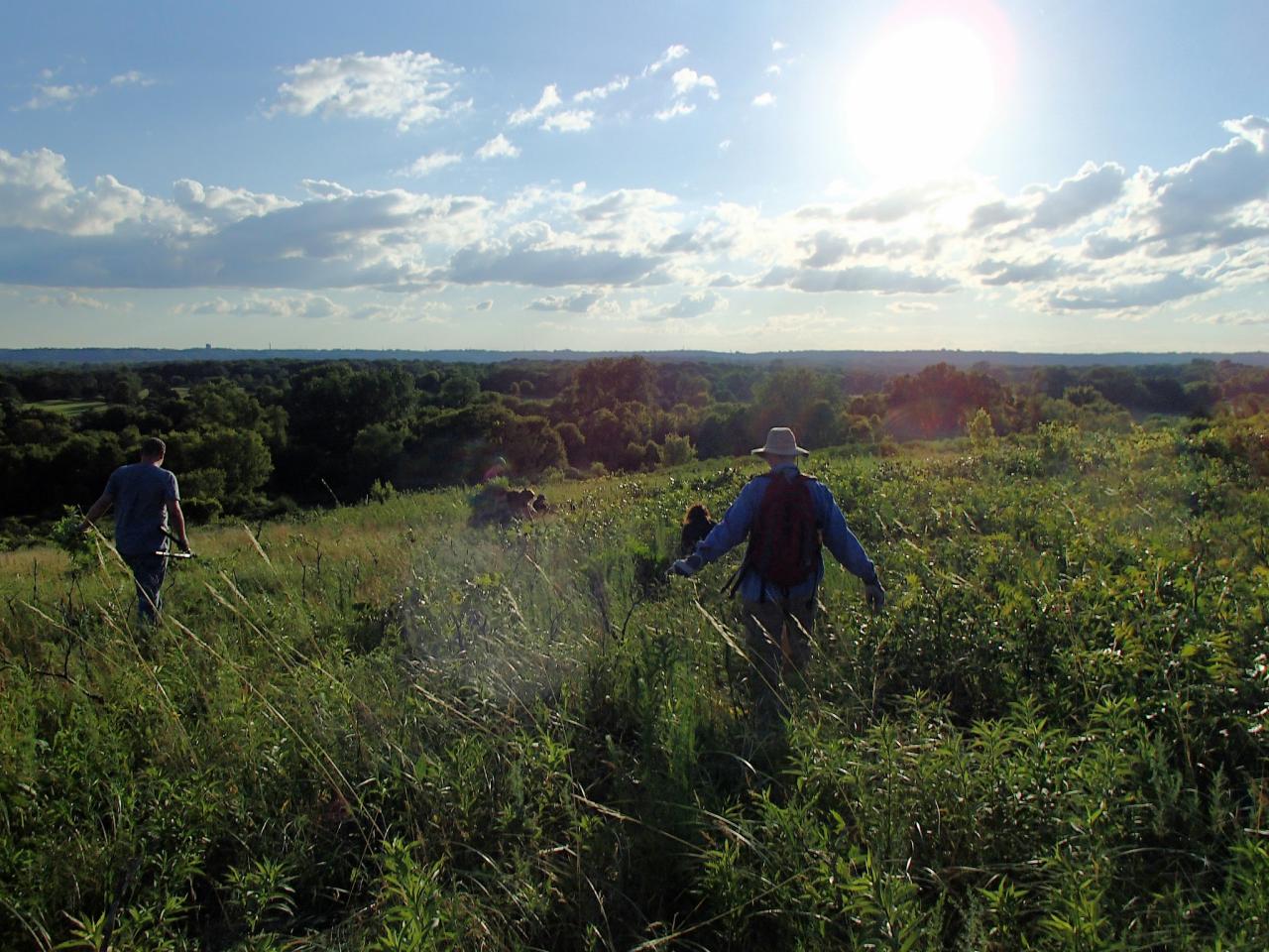 Volunteers protecting Grey Cloud Dunes