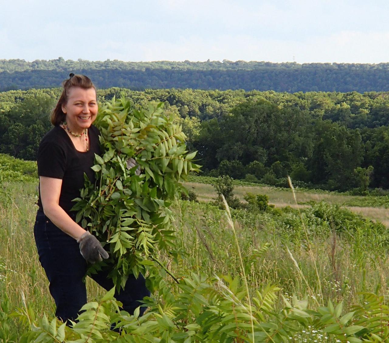 Volunteer working at Grey Cloud Dunes SNA