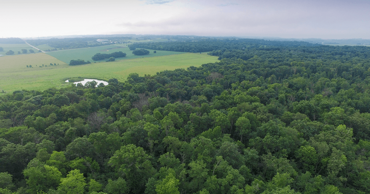 Hampton Woods aerial view