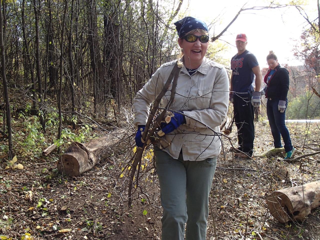 Volunteers help restore the shoreline of a trout nursery by removing precut invasive buckthornuckthorn