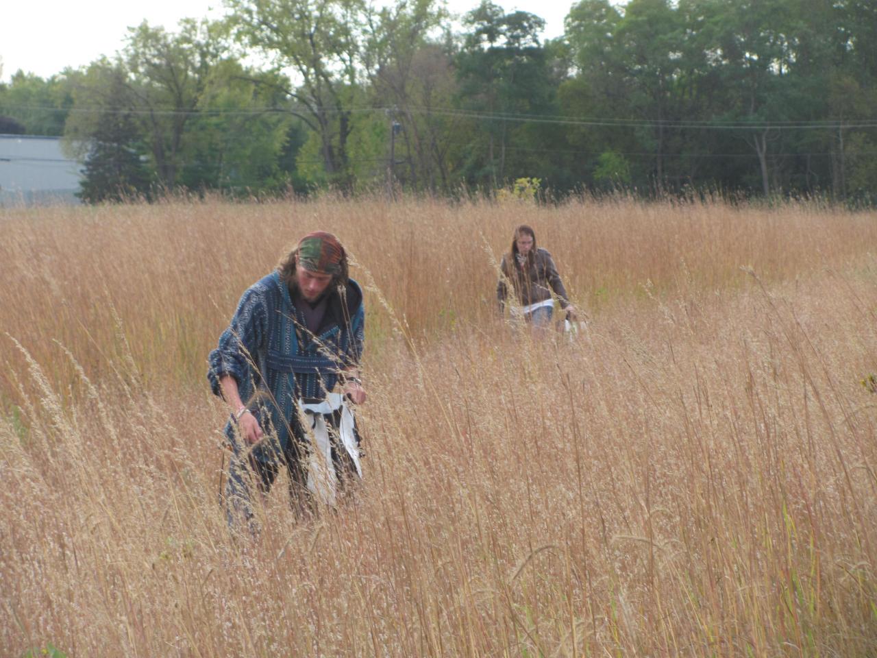 Volunteers collecting native seed at Heritage Village Park