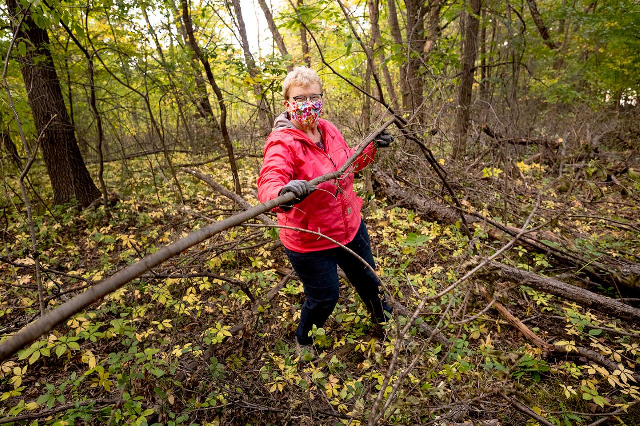 Volunteer Jean hauling buckthorn at Vermillion Falls