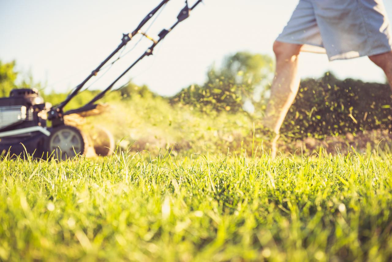 Bagless mowing lawn care