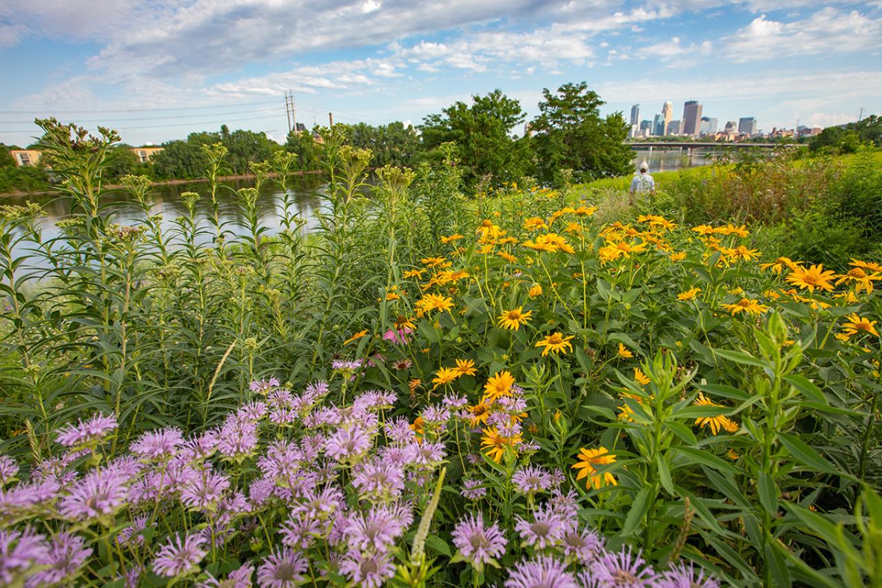 Prairie, Mississippi River, person, and Minneapolis Skyline