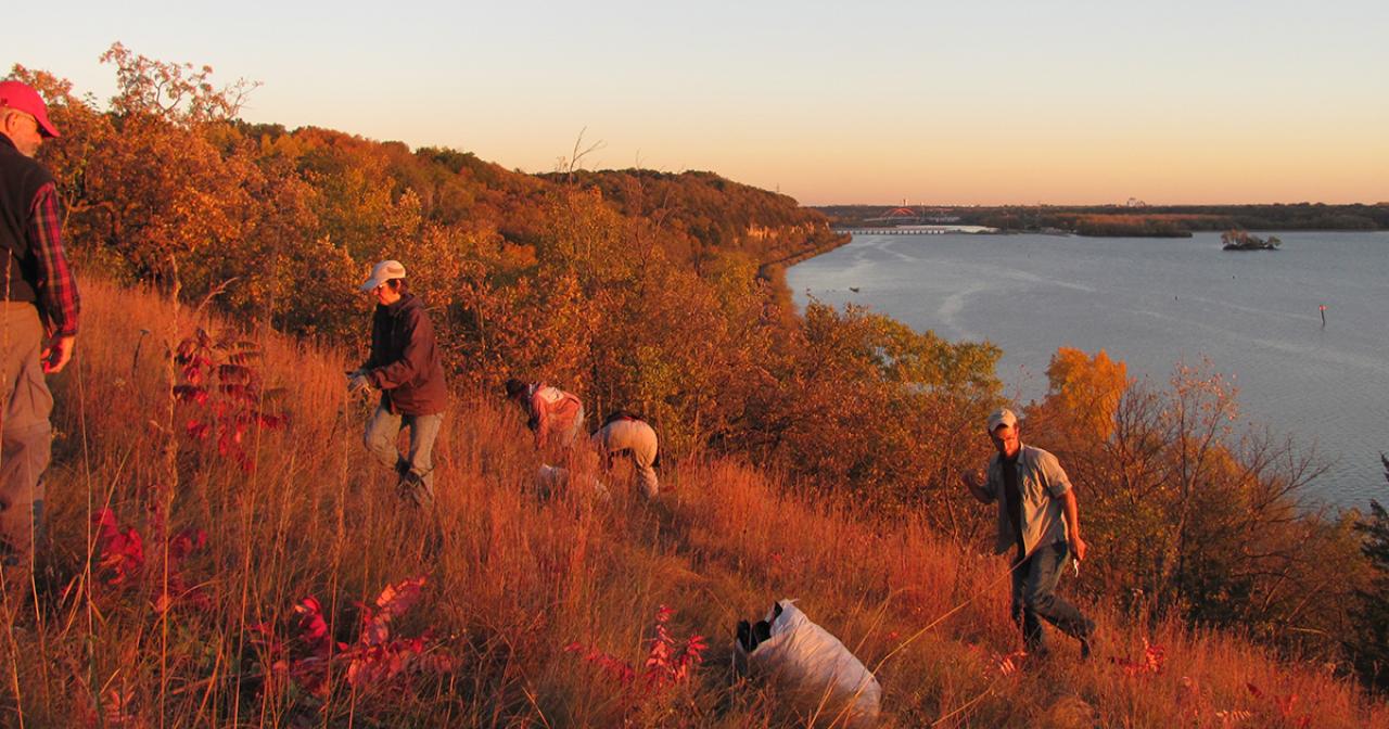 River bluff at sunset with volunteers